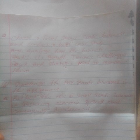choose-a-local-small-scale-business-and-conduct-a-brief-case-study-analyze-how-the-business-started-its-growth-journey-challenges-faced-and-strategies-used-to-overcome-them