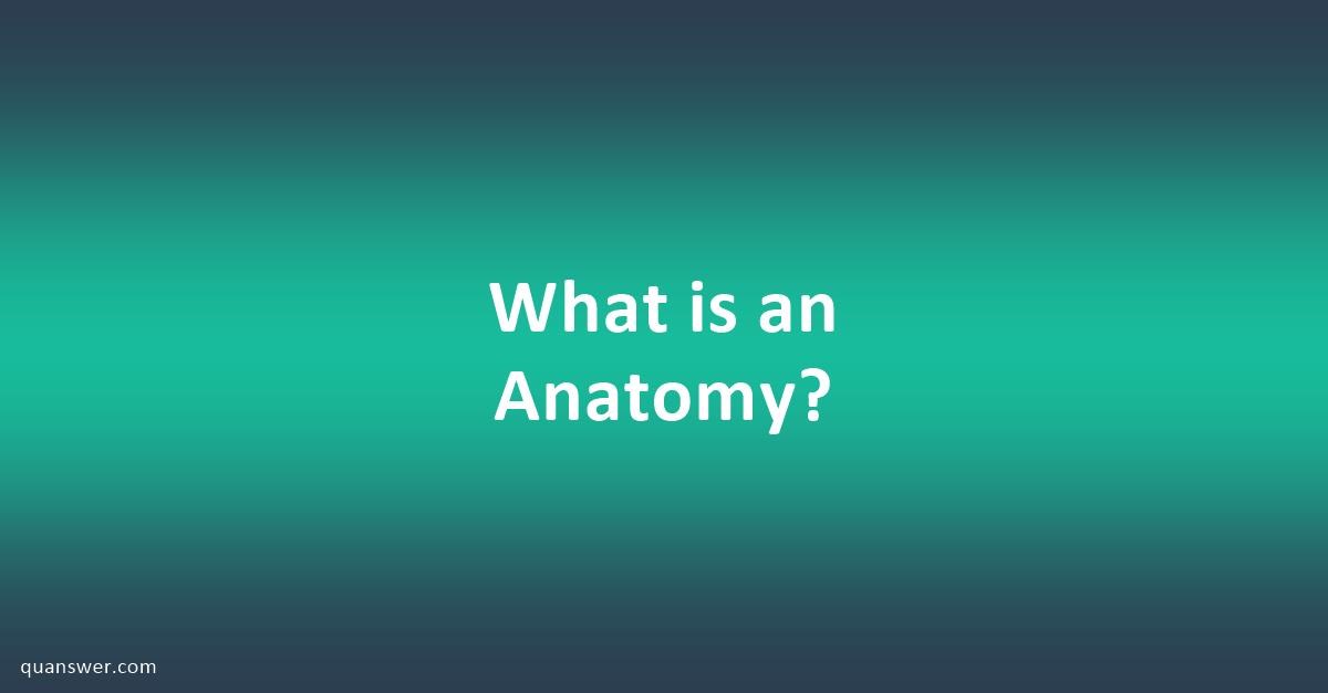 What is an Anatomy? - Quanswer