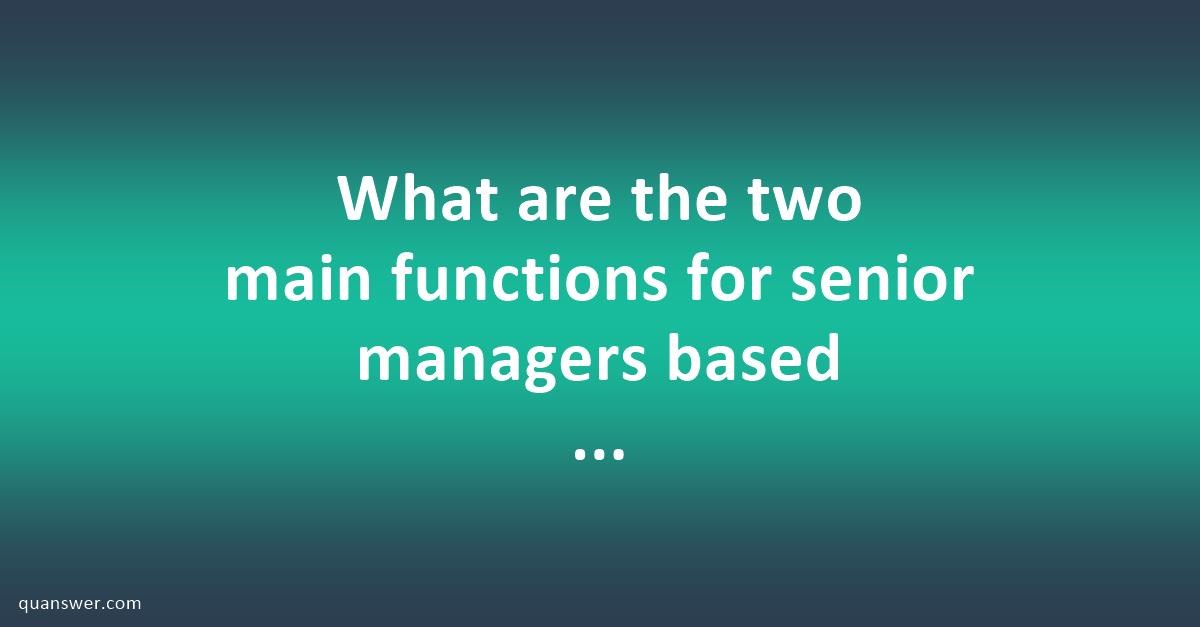 what-are-the-two-main-functions-for-senior-managers-based-on-pretorius