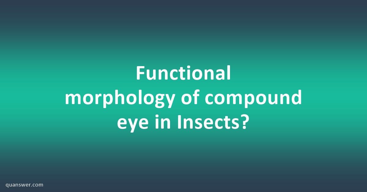 functional-morphology-of-compound-eye-in-insects-quanswer