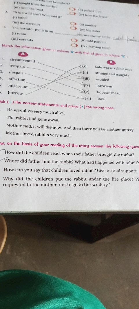 how-can-you-say-that-children-loved-rabbit-give-textual-support