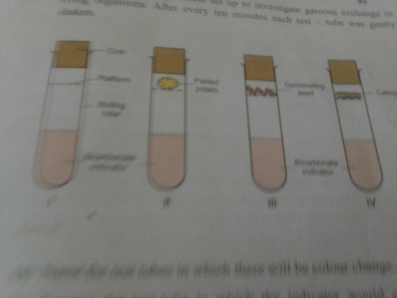 Name the test tubes in which there will be color change?