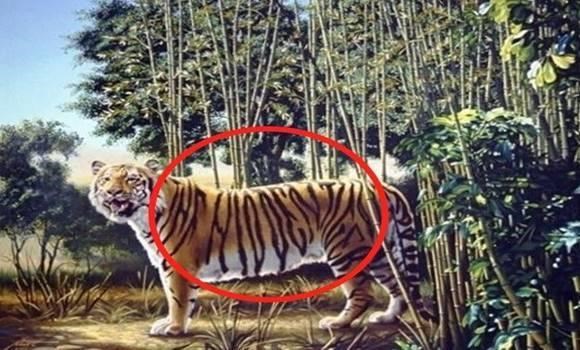 Megfejtés: a bekarikázott részen egy angol felirat látható, ami azt jelenti: az elrejtett tigris (the hidden tiger).