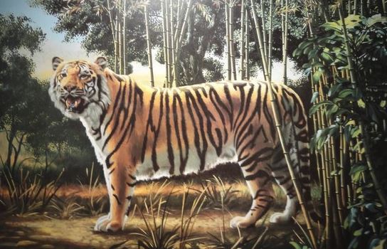 Megtalálod a második tigrist a képen?