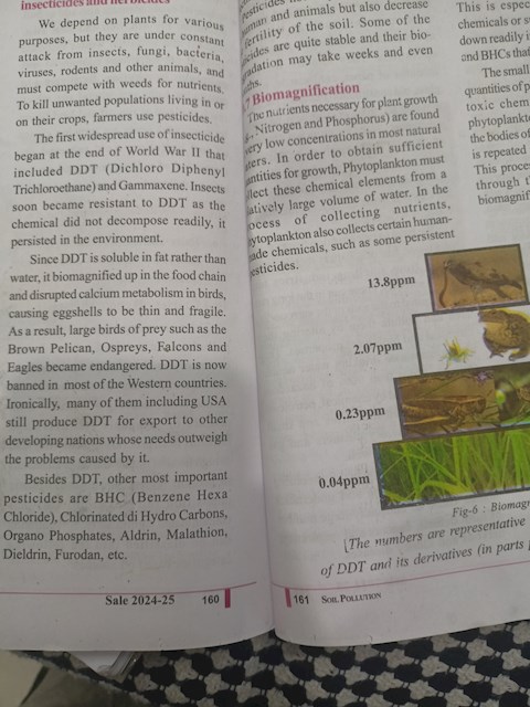 indiscriminate-use-of-pesticides-herbivores-lead-to-bio-accumulation-then-to-bio-magnification-explain-with-an-example