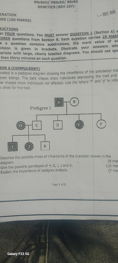 provided-is-a-pedigree-showing-the-inheritance-of-the-inheritance-of-the-polydactyl-trait-and-the-clear-shapes-show-individuals-not-affected-use-the-letters-p-and-p-to-refer-to-alleles-for-the-trait