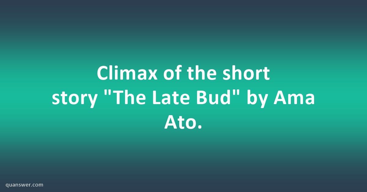 Climax of the short story 