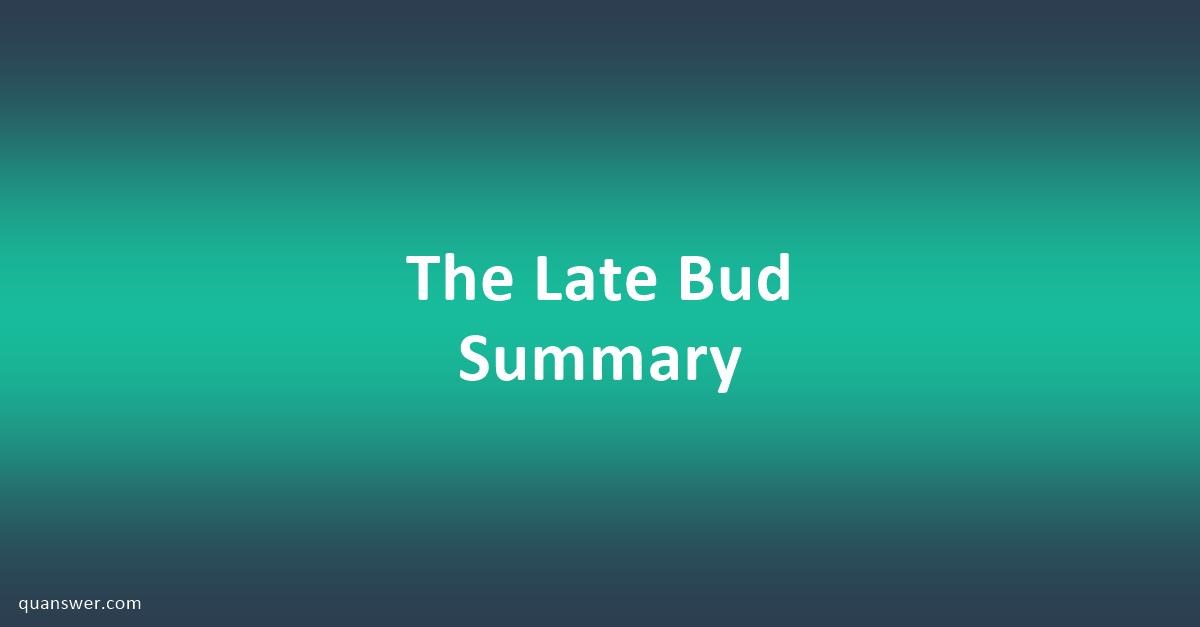 The Late Bud Summary - Quanswer