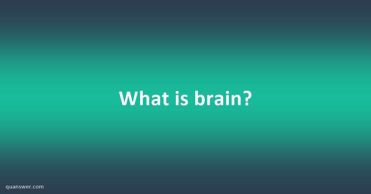 what-is-brain-quanswer