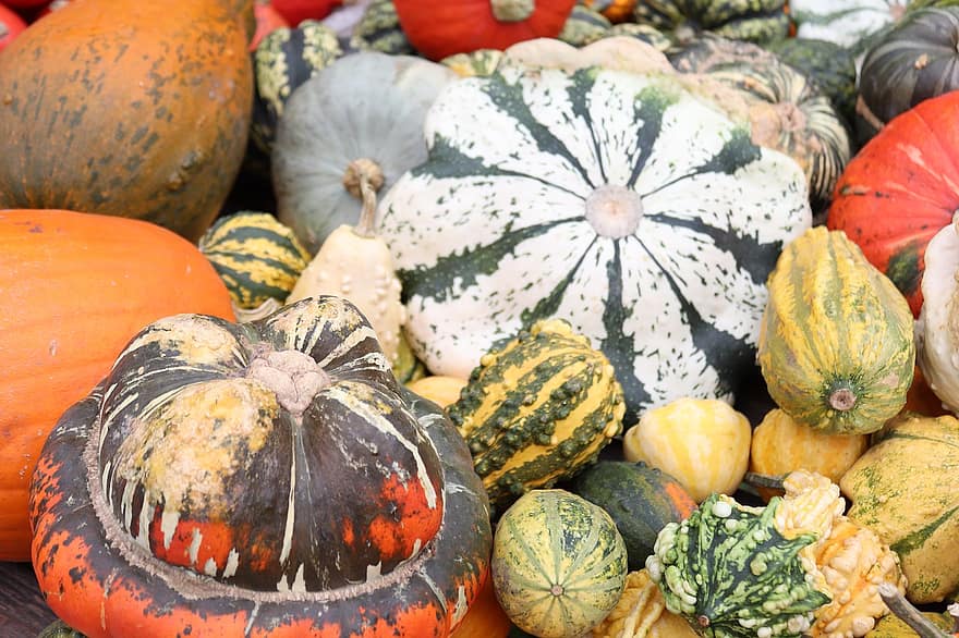 Honnan lehet őszi dekorációt rendelni?
