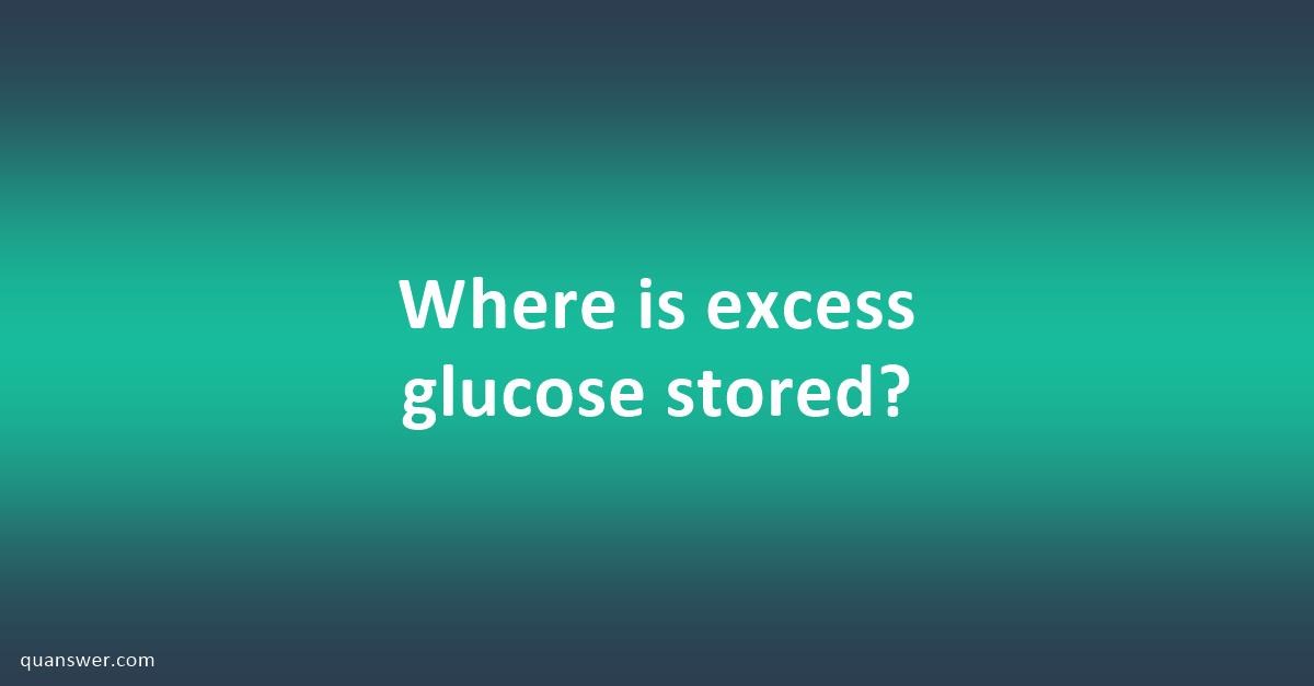 where-is-excess-glucose-stored-quanswer