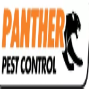 do-you-need-pest-control-in-st-albans