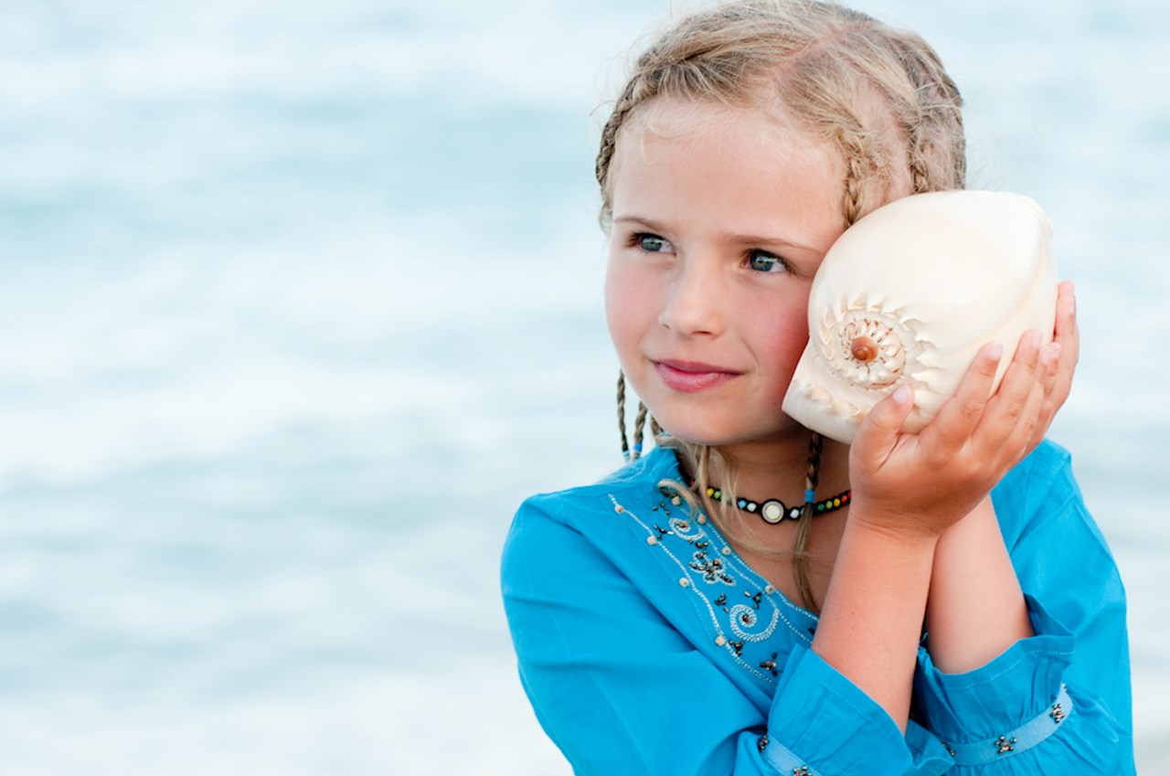 How come we can hear the sound of the ocean in a big seashell?