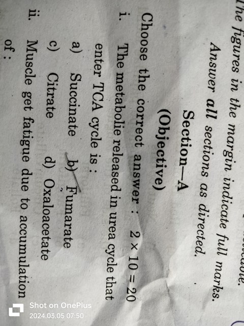 the-metabolie-released-in-urea-cycle-that-enter-tca-cycle-is