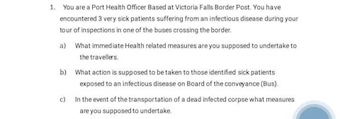 port-health-officer-based-at-victoria-falls-border