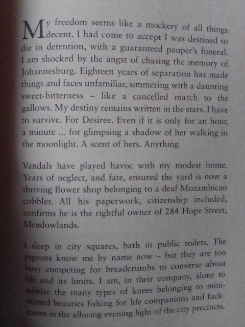 write-an-essay-in-which-you-discuss-how-the-changes-in-the-setting-of-the-city-of-johannesburg-reflect-the-changes-that-the-main-character-experiences-in-small-things-by-nthikeng-mohlele