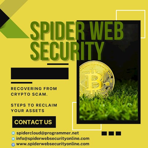 consult-a-licensed-crypto-recovery-expert-spider-web-security