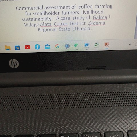 introduction-commercial-coffee-farming-for-smallholder-farmers-livelihood-sustainability-a-case-study-of-galma-village-alata-cuuko-district-sudama-regional-state-ethiopia