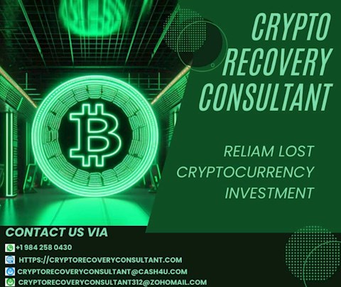 from-despair-to-triumph-crypto-recovery-consultant