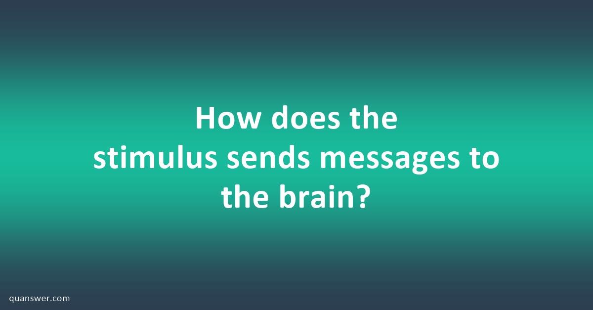 How does the stimulus sends messages to the brain? - Quanswer