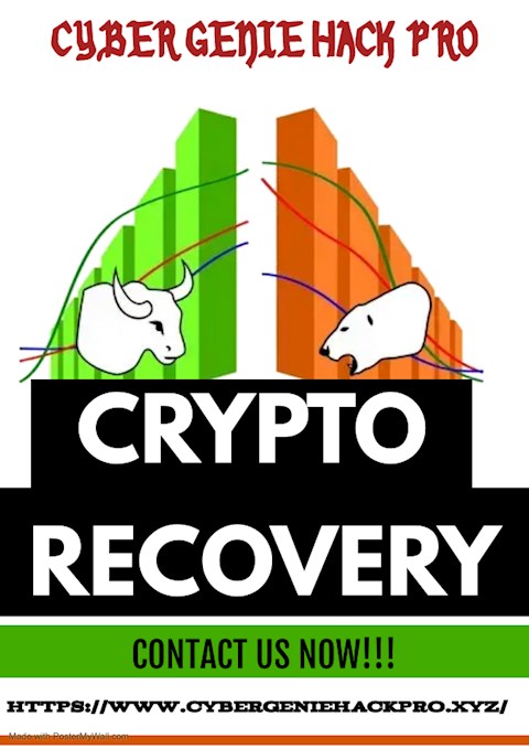 reclaim-lost-wealth-a-guide-to-cryptocurrency-recovery-cyber-genie-hack-pro