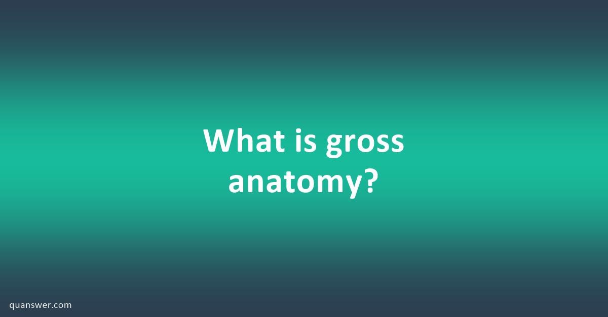 What is gross anatomy? - Quanswer