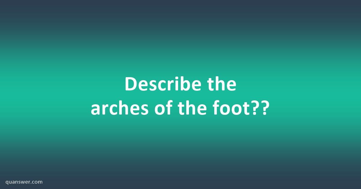 describe-the-arches-of-the-foot-quanswer