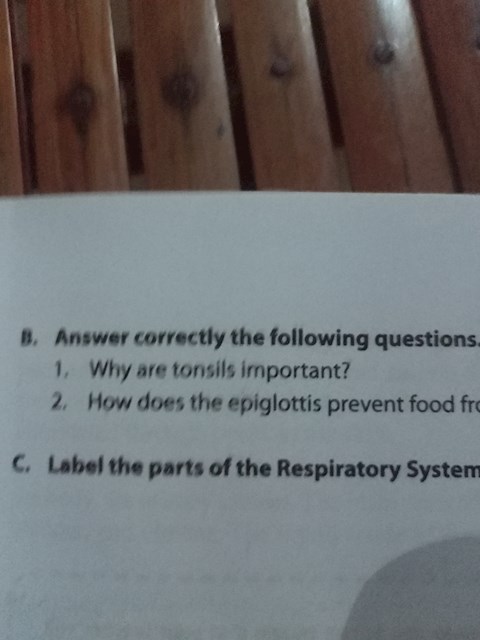 why-are-tonsils-important