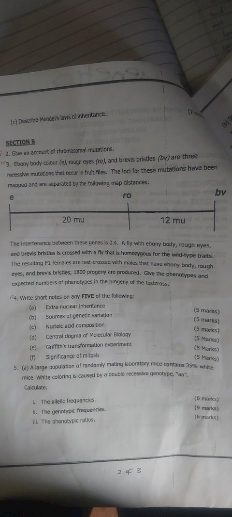 with-reference-to-the-description-below-give-the-phenotypes-and-numbers-of-phenotypes-in-the-progeny-of-the-testcross