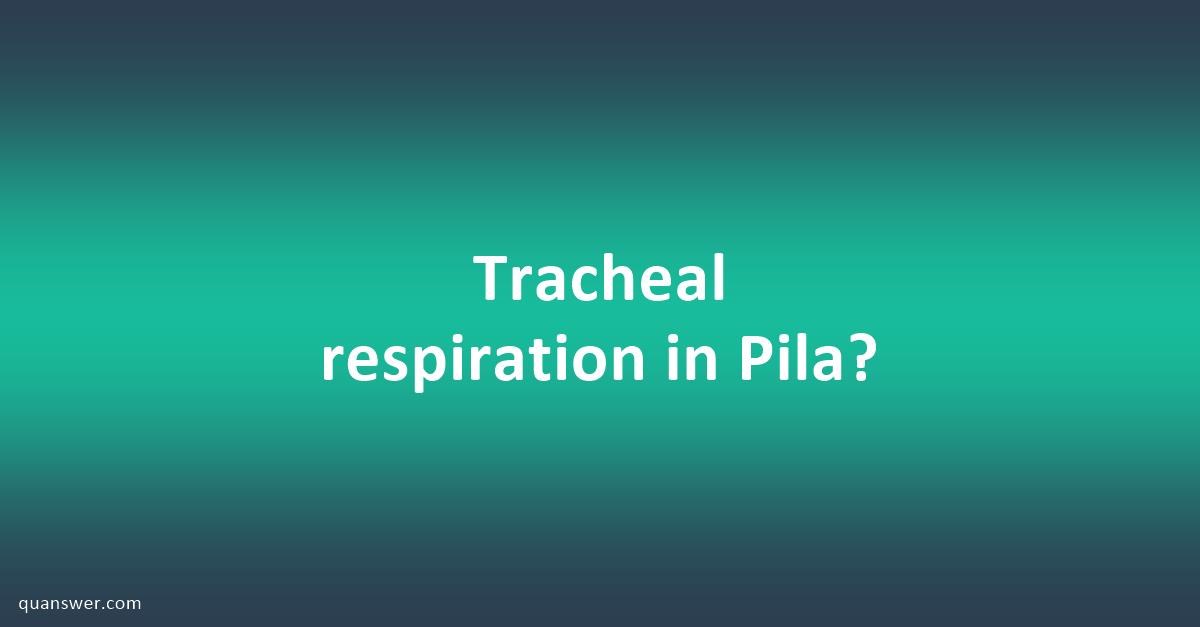 Tracheal respiration in Pila? - Quanswer