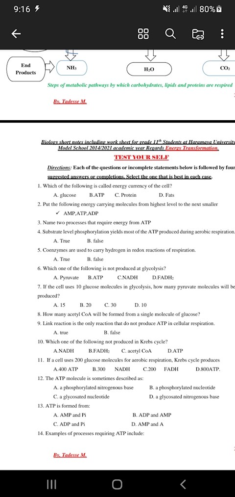 which-of-the-following-is-called-energy-currency-of-the-cell-a-glucose-b-atp-c-protein-d-fats