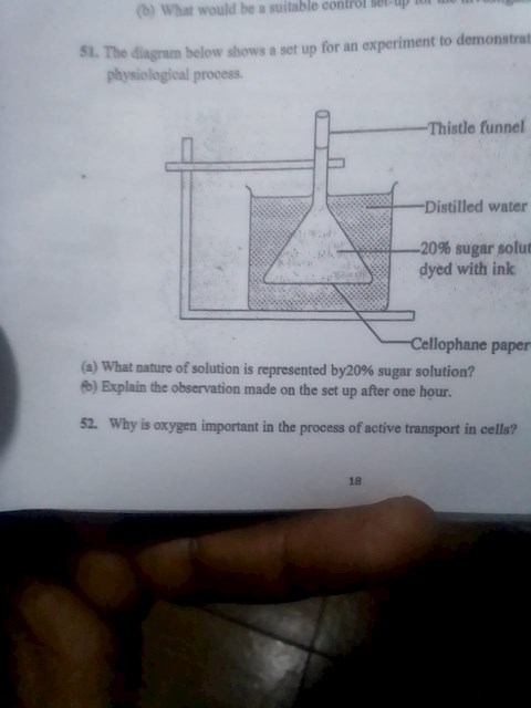 what-type-of-solution-is-represented-by-a-20-sugar-solution