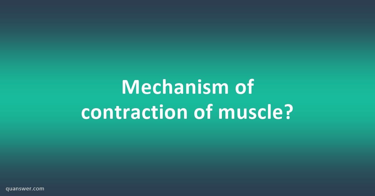 mechanism-of-contraction-of-muscle-quanswer