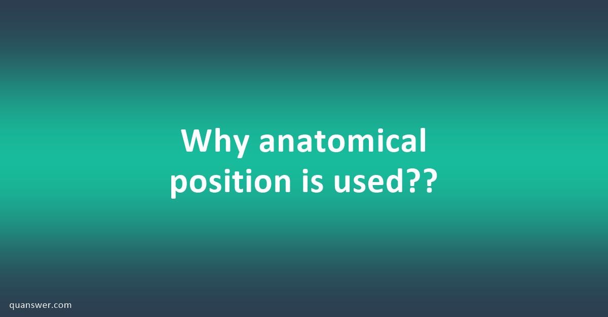 why-anatomical-position-is-used-quanswer