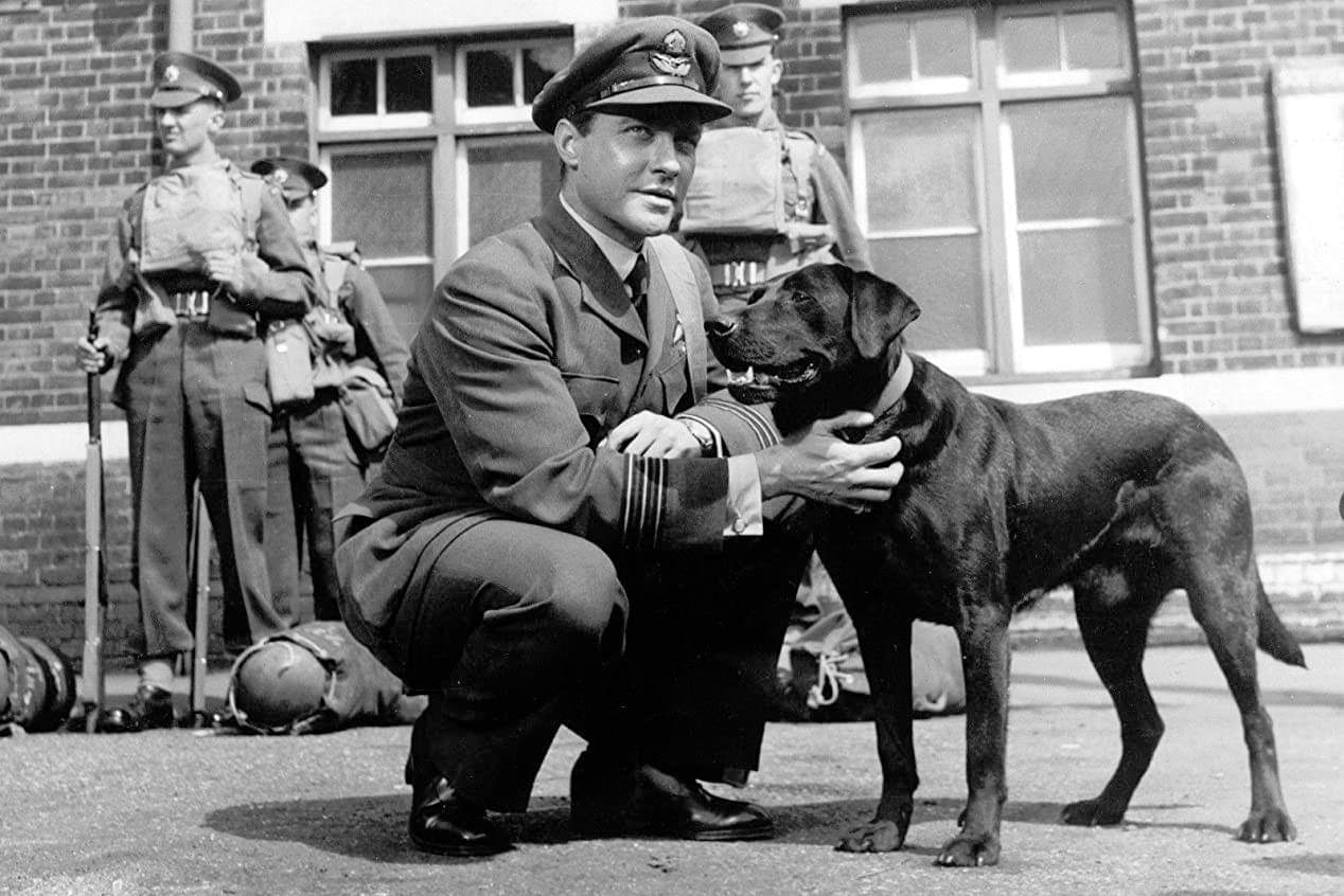 What Was The Dambusters Dog Name Quanswer