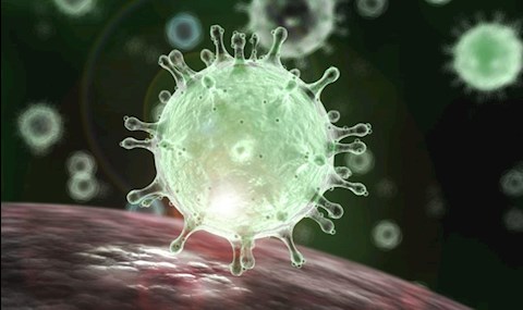 jo-hir-a-magyar-koronavirus-nem-terjed-at-emberrol-emberre-mert-ennel-sokkal-lustabb-ehhez-mit-szoltok